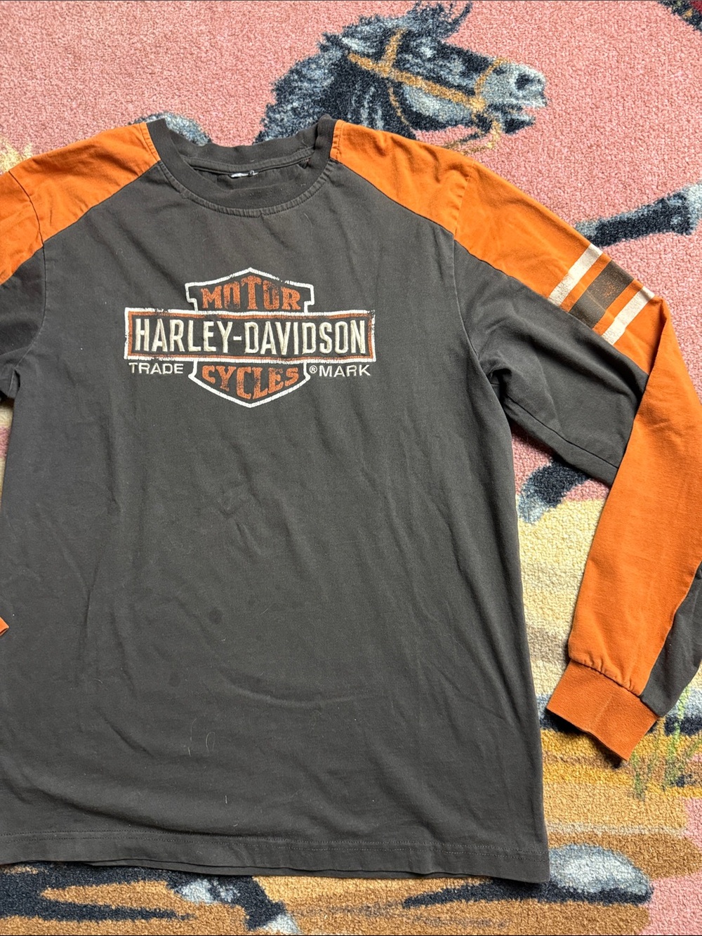 HARLEY DAVIDSON LONG SLEEVE SHIRT
MAKE INTO CROP